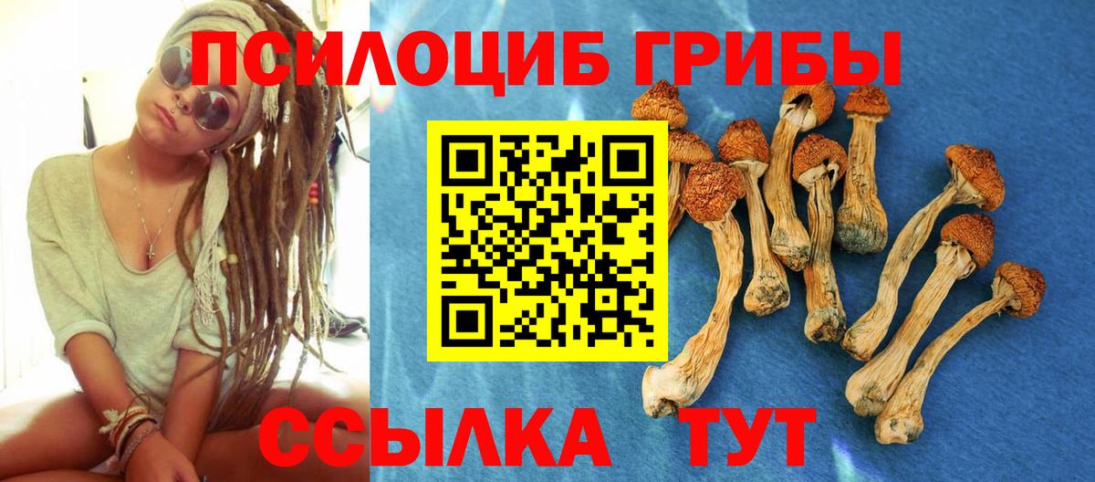 Галлюциногенные грибы Cubensis  Галлюциногенные грибы Cubensis  Сергиев Посад  Вход с VPN 